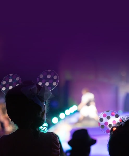 <em>Disney On Ice</em>